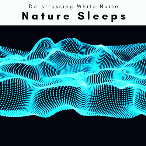 2022 Nature Sleeps