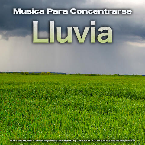 Musica Para Concentrarse: Música para leer, Música para el trabajo, Música para un enfoque y concentración profundos, Música para estudiar y relajarse