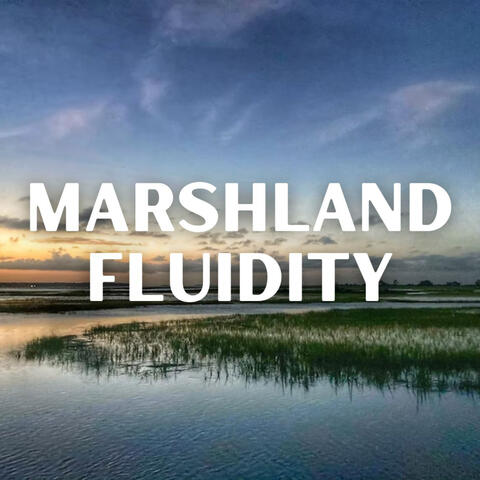 Marshland Fluidity