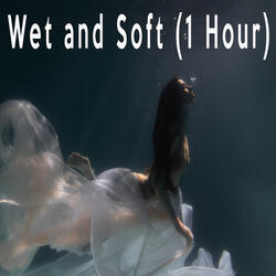 Wet and Soft (1 Hour)