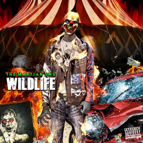 WILD LIFE