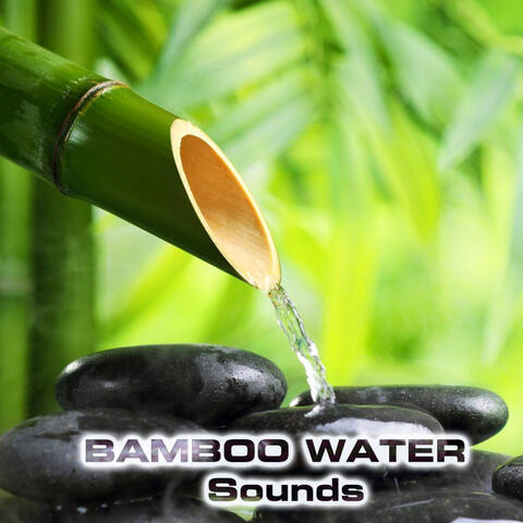 Bamboo Water Sounds (feat. Water Atmosphere Sounds, Water Healing FX, Water Sleep Sound, Water White Noise & Atmospheres Sounds)