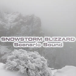 Winter Snowstorm for Sleep (feat. Snowstorm Sounds, Snowstorm Wind Sounds, Wind Atmosphere Sounds, Nature Sounds 3D, Wind White Noise FX & White Noise Sound 3D)