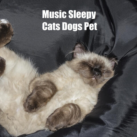 Music Sleepy Cats Dogs Pet (feat. Music For Cats & World of cat's)