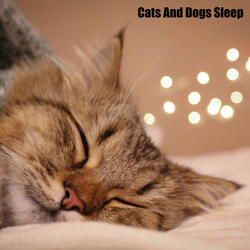 Cats Love Music (feat. Music For Cats, World of cat's & Музыка для кошек)