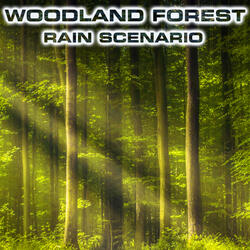 Soothing Woodland Forest Sound (feat. Atmospheres Sounds, Rain Water Sounds, Forest Breeze Sounds FX, Calming Nature Sound FX, Rain Atmosphere Sounds & Thunder & Wind Atmosphere)