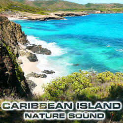 White Noise of Caribbean Island (feat. Ocean Atmosphere Sounds, Atmospheres Sounds, Caribbean Sea Sounds, Caribbean Cruise Sounds, Ocean Breeze Sounds & White Noise Sound FX)