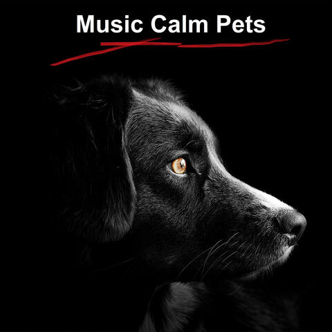 Music Calm Pets