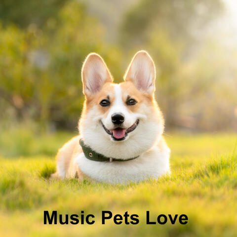Music Pets Love