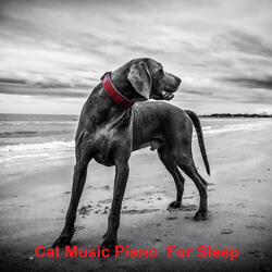 Do Dogs Like Music When Left Alone