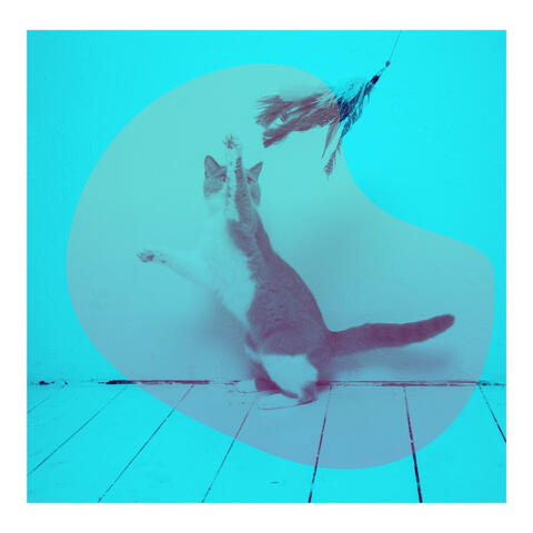Thrilling Bgm for Home Cats