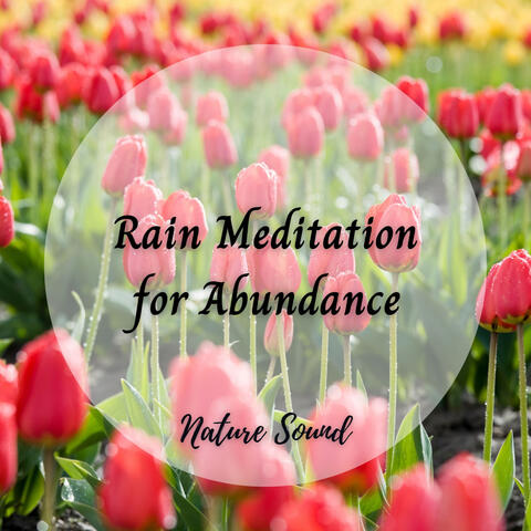 Nature Sound: Rain Meditation for Abundance