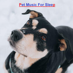 Soft Piano For Dogs