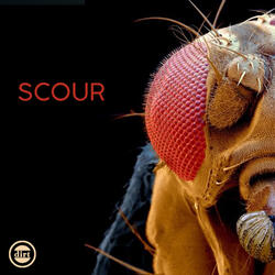 Scour