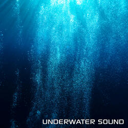 Relaxing Deep Underwater Sound (feat. Atmosphere Soundscapes, World Ocean Sound, Discovery Nature Sound, Discovery Nature Soundscapes, Aquarium Soundscapes & Nature Soundscapes)