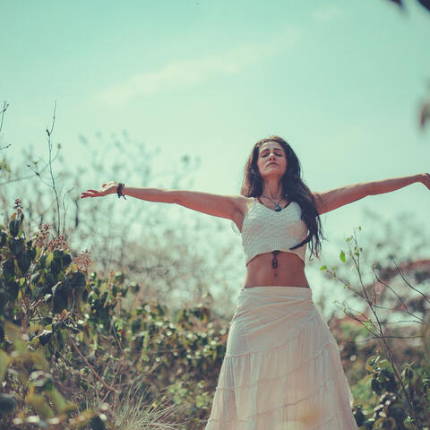 Echoes of Wholesome Peace