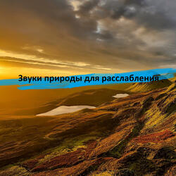 Звуки природы
