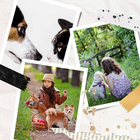 Music for Dogs Classics