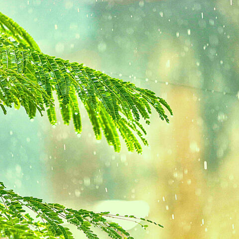 Ambiance for Deep Moods