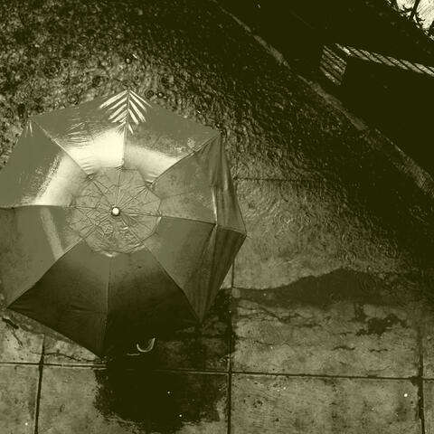 Sounds of Rain - Background for Mental Clarity