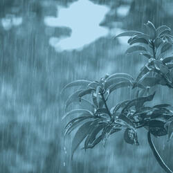 Fantastic Ambience for Tranquil Vibes