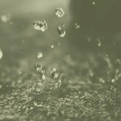 Distinguished Rain and Thunderstorms