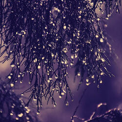 Background for Tranquil Vibes