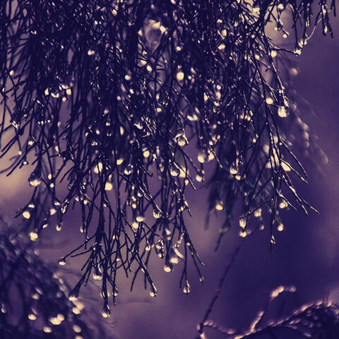 Background Music for Pensive Feelings