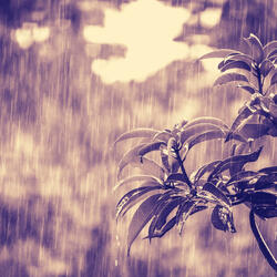 Music for Relaxation Soundtrack for Pensive Feelings