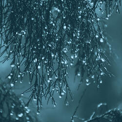 Bubbly Piano Music with Rain Sounds - Vibe for Pensive Feelings