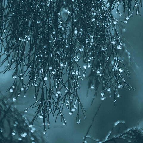 Feelings for Rain and Thunderstorms
