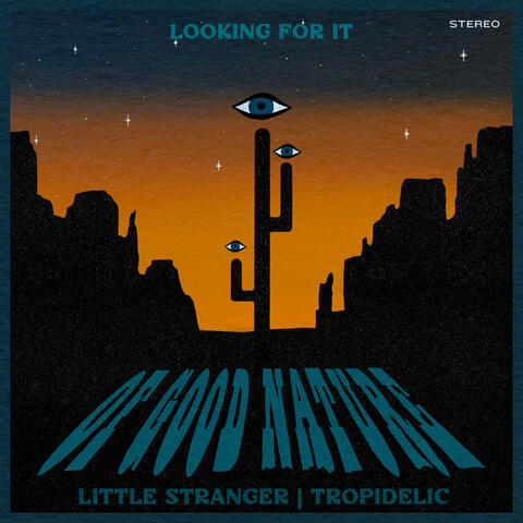 Looking For It