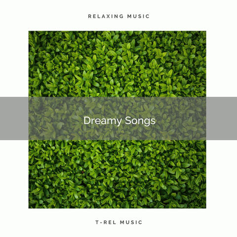 2022 Dreamy Songs