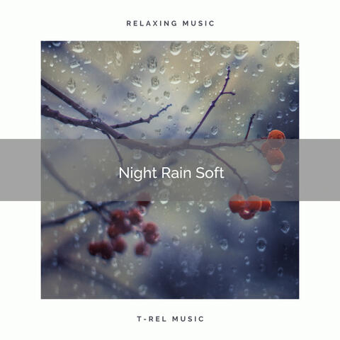 Night Rain Soft