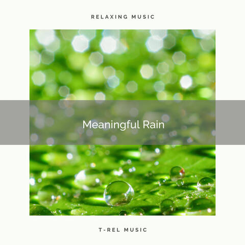 Meaningful Rain