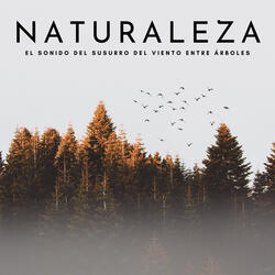 La Corriente Robusta Del Viento
