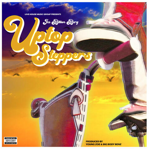 Uptop Steppers