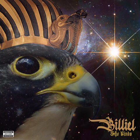 Billiel, The Birdo