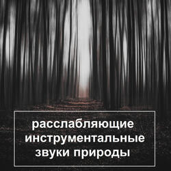 Сон у Воды