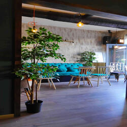 Happy Ambiance for Creative Feelings