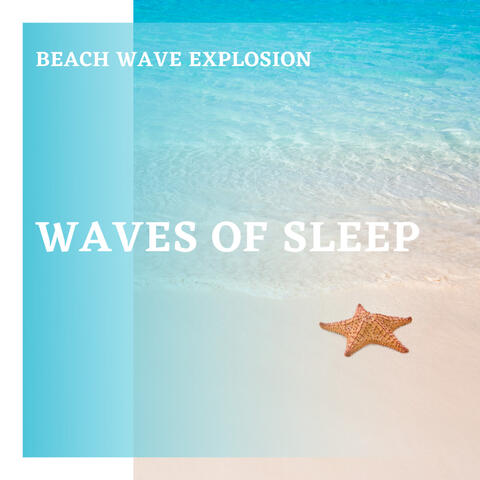 Waves of Sleep