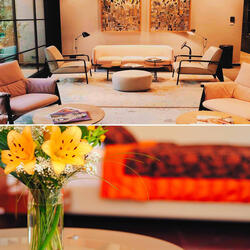 Sophisticated Ambience for Welcome Changes