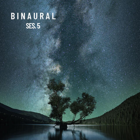 Binaural, Beats binaurales para domir profundo, Vol. 5