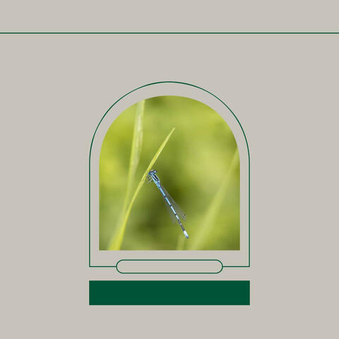 Romantic Music for Busy Weekdays - Trumpet and Alto Sax