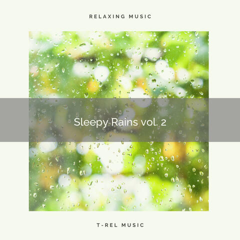 Sleepy Rains vol. 2