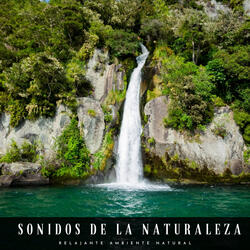 Las Bellezas De La Naturaleza
