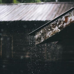 Raining Roof