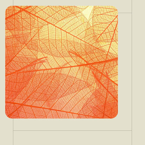 Relaxing Rituals (Background Music)