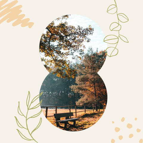 Background Music - Calming Moments