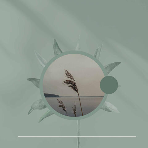 Calming Moments - Dream Like